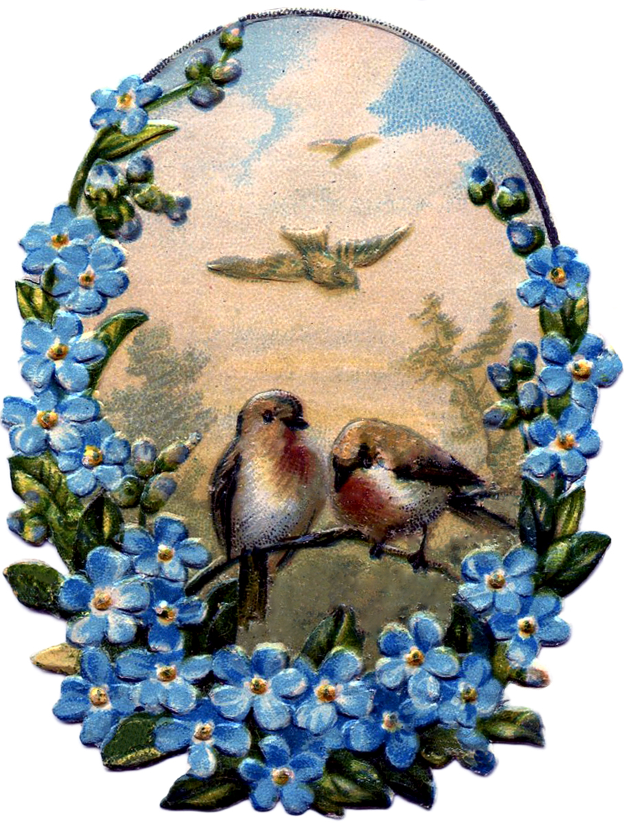 Birds-with-Forget-Me-Nots-GraphicsFairy