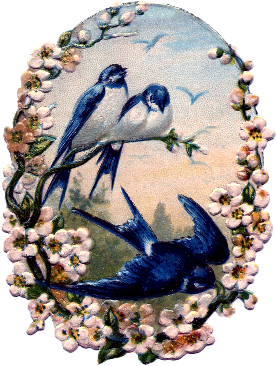 Vintage-Birds-with-Flowers-Scrap-GraphicsFairy