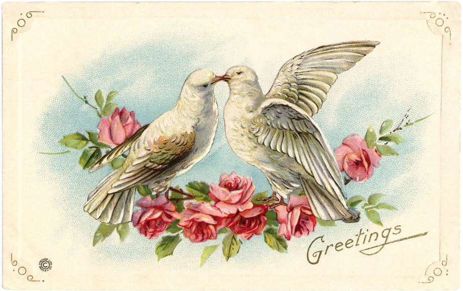Duer OG roser på ett og samme postkort. Klassisk og romantisk!