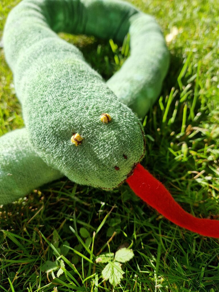 Nærbilde av slange i gresset.